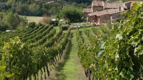 chianti